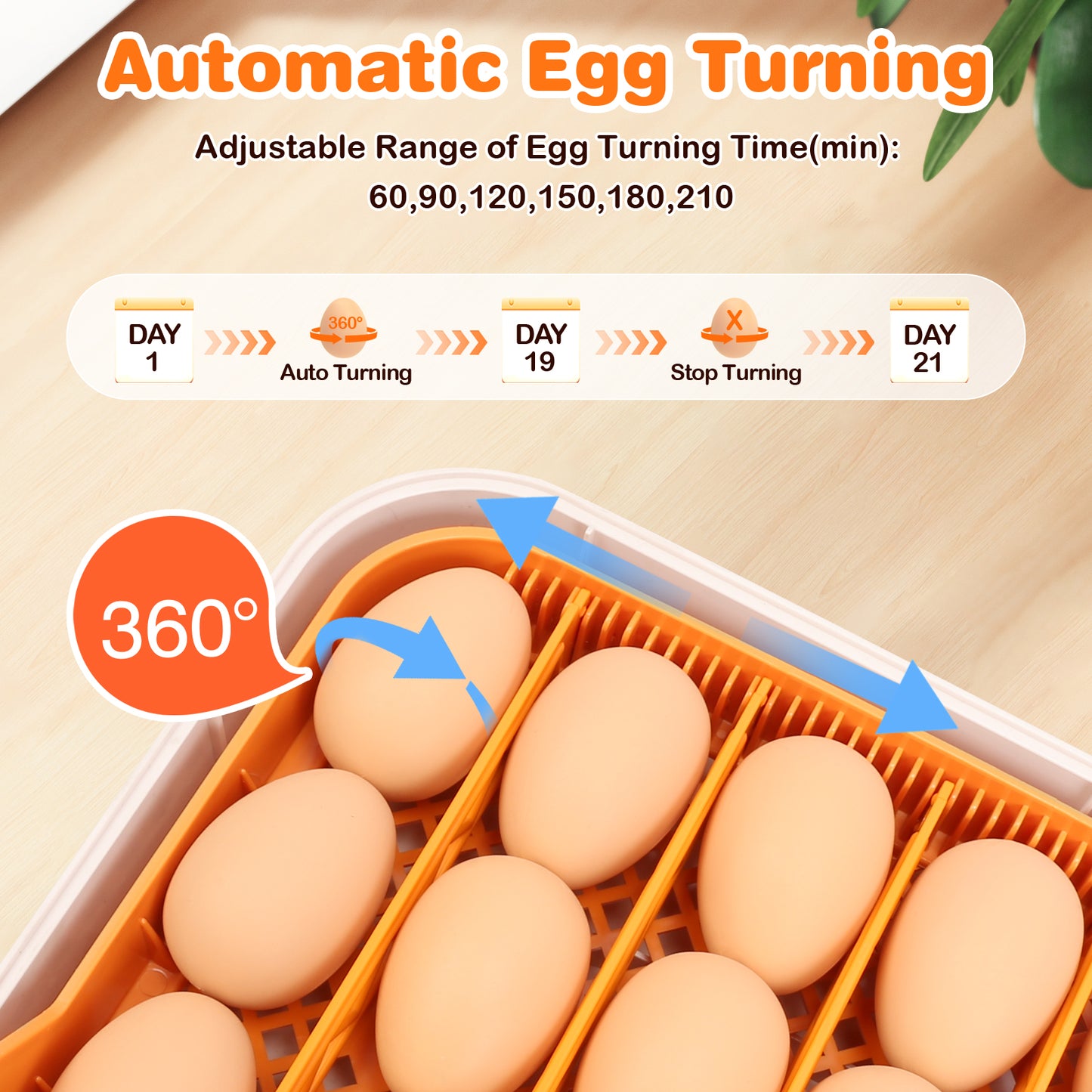 APODESS 56 Egg Incubator for Hatching Eggs, Egg Incubators with Automatic Egg Turning, Temperature and Humidity Control, Egg Candler, Automatic Water Bottle Refill, Incubator for Chicken, Ducks, Goose